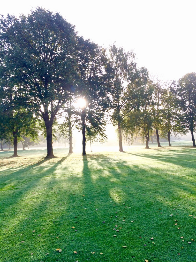 Golfplatz Münster/WIlkinghege im morgendlichen Gegenlicht