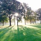 Golfplatz Münster/WIlkinghege im morgendlichen Gegenlicht