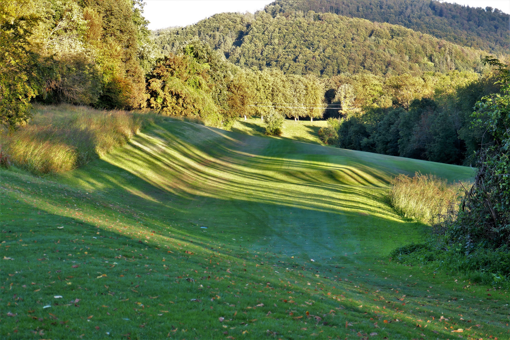 Golfstreifen