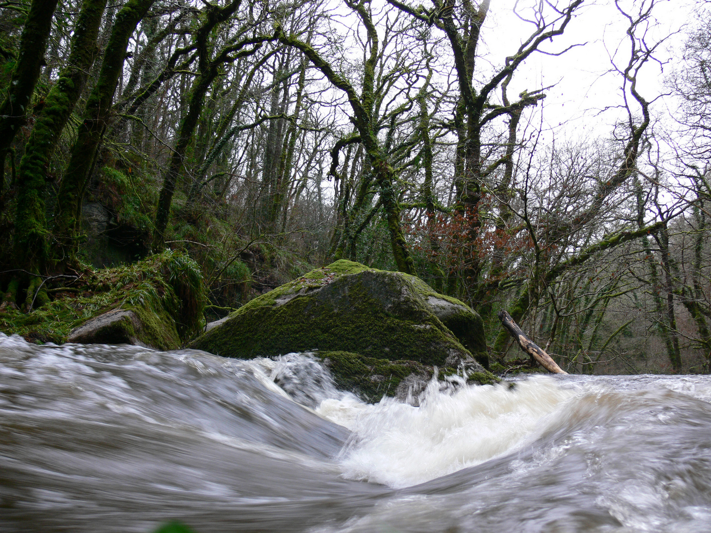 Goliath Fall - Raging River after all the rain we have experienced in Cornwall