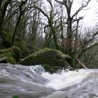 Goliath Fall - Raging River after all the rain we have experienced in Cornwall