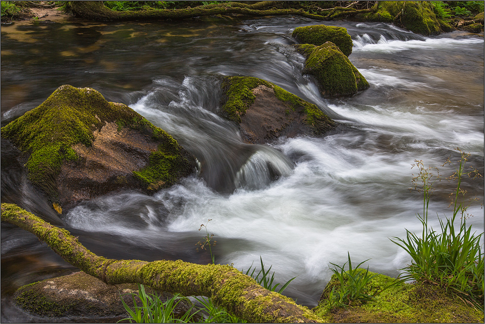 golitha falls 06/15