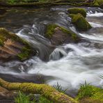 golitha falls 06/15