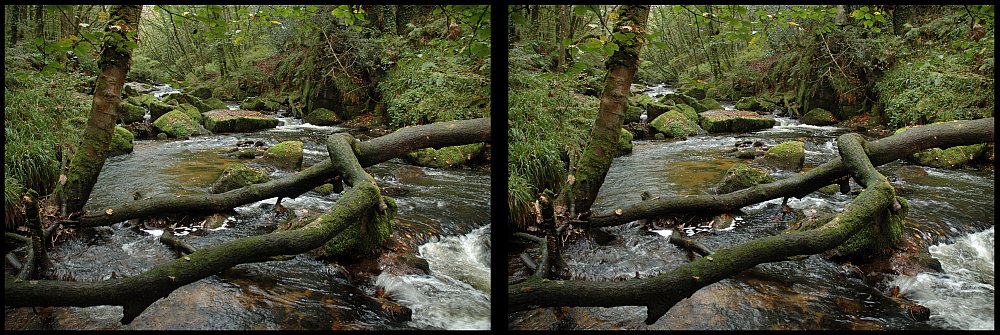 Golitha Falls