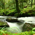 Golitha Falls