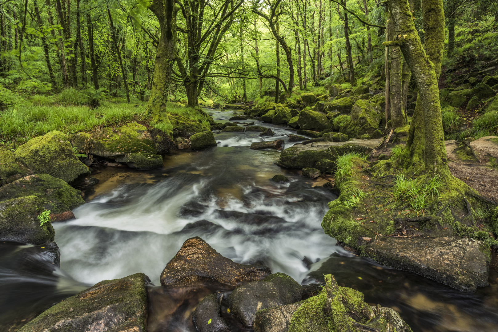 *Golitha Falls*