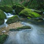 golitha falls cornwall 05/15