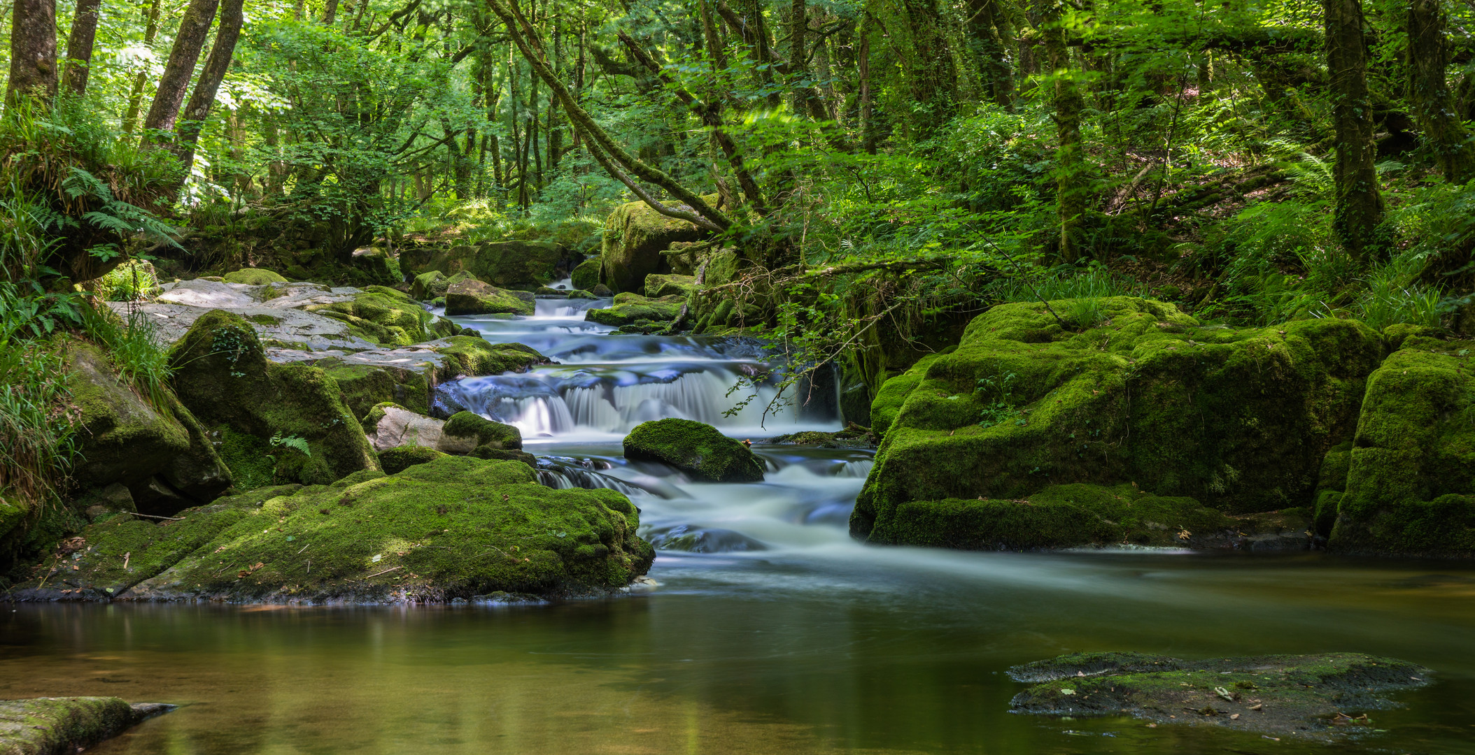 Golitha Falls Cornwall