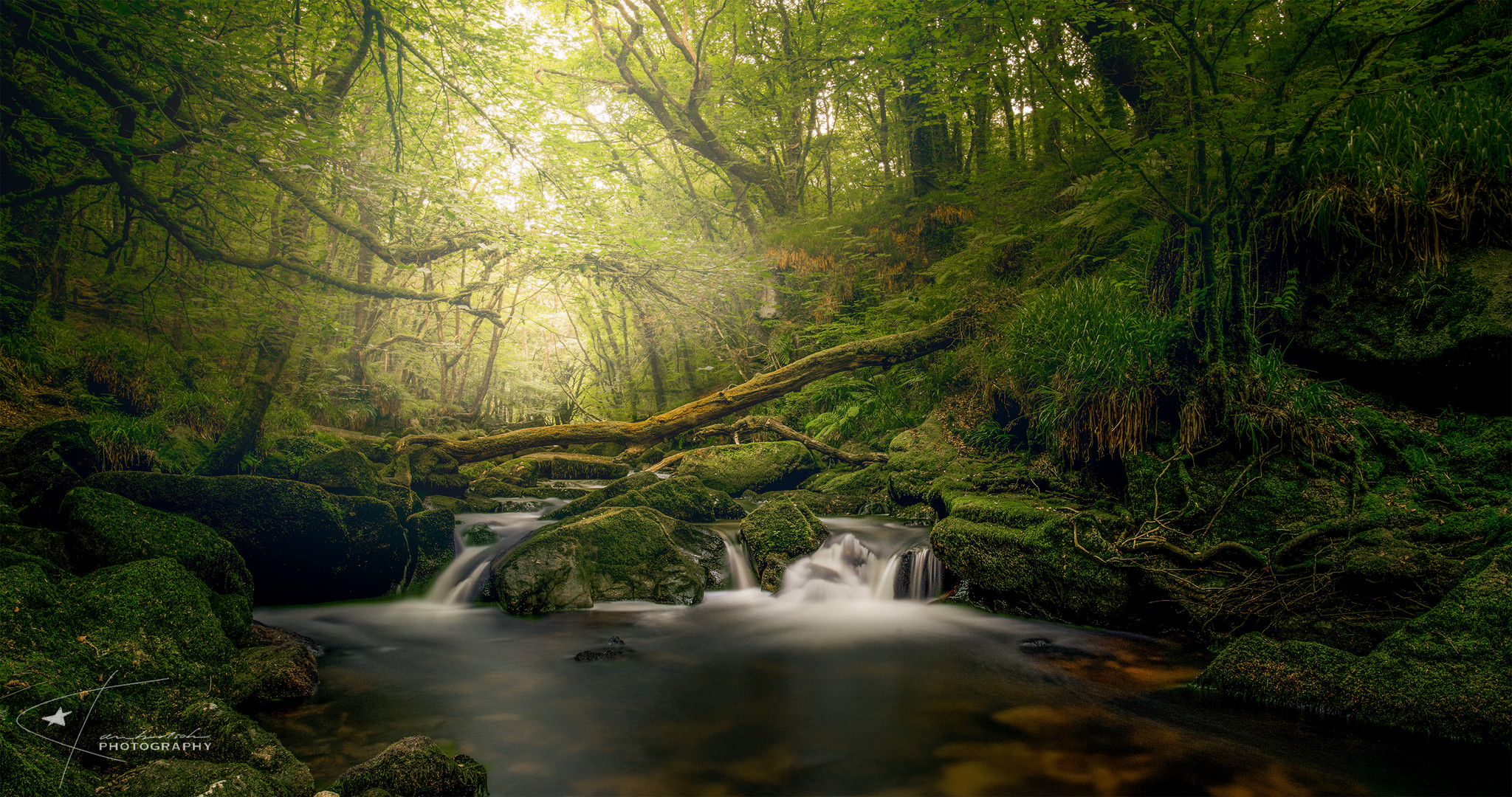 Golitha falls