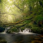 Golitha falls