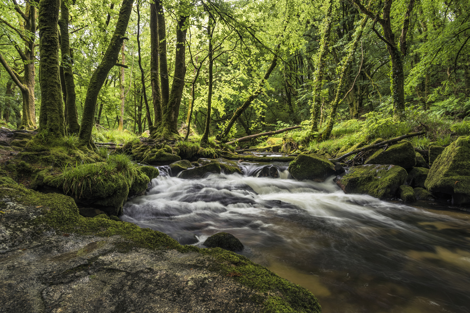 *Golitha Falls III*