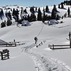 Goljska planina-Alm