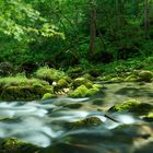 Gollingen an der Salzach