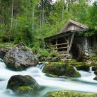 Gollinger Mühle (Österreich)