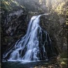 Gollinger Wasserfall - 2 -