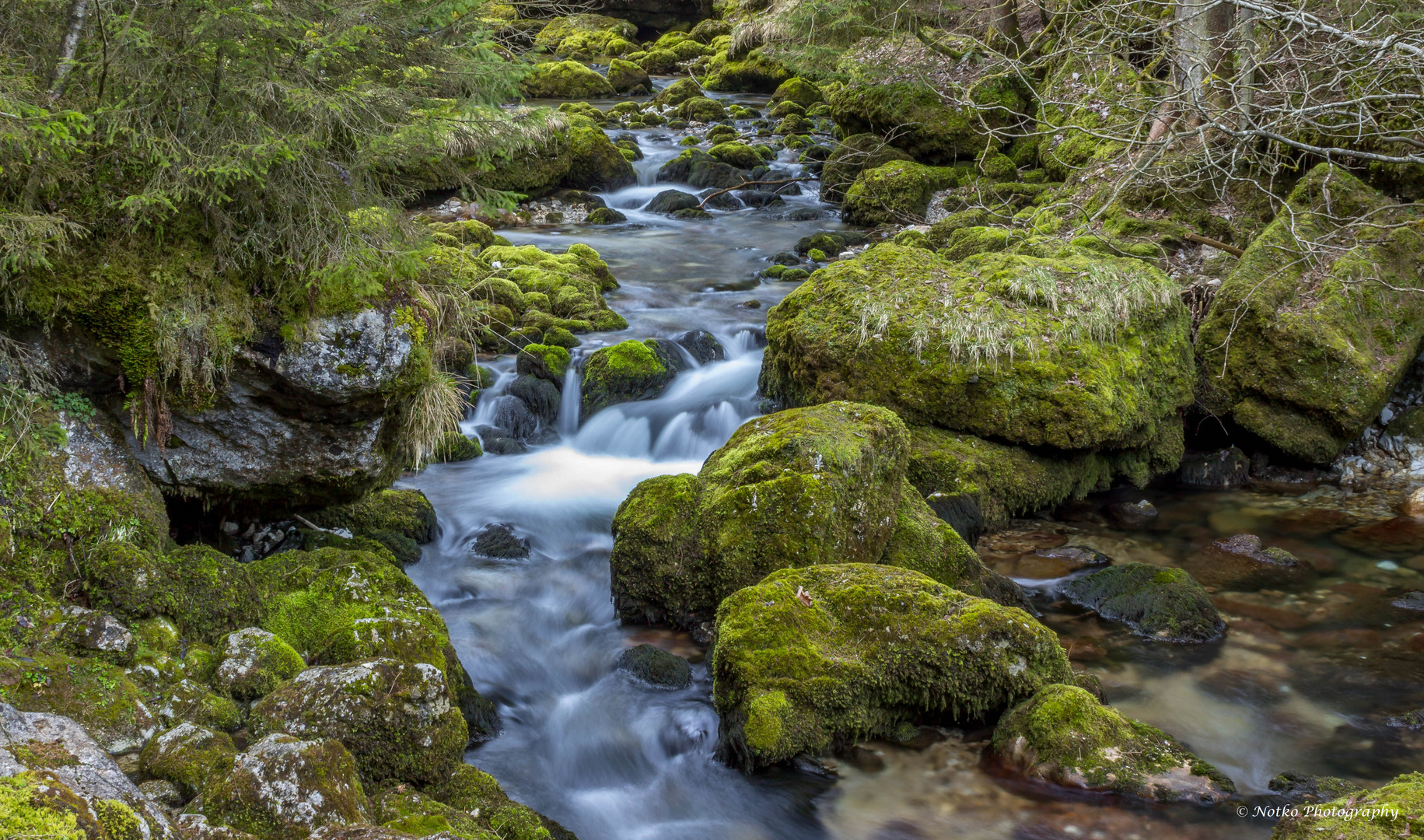 Gollinger Wasserfall 2