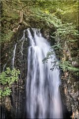 Gollinger Wasserfall - 3 -