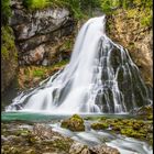 Gollinger Wasserfall I