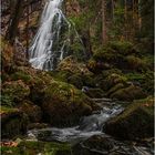 GOLLINGER WASSERFALL_2