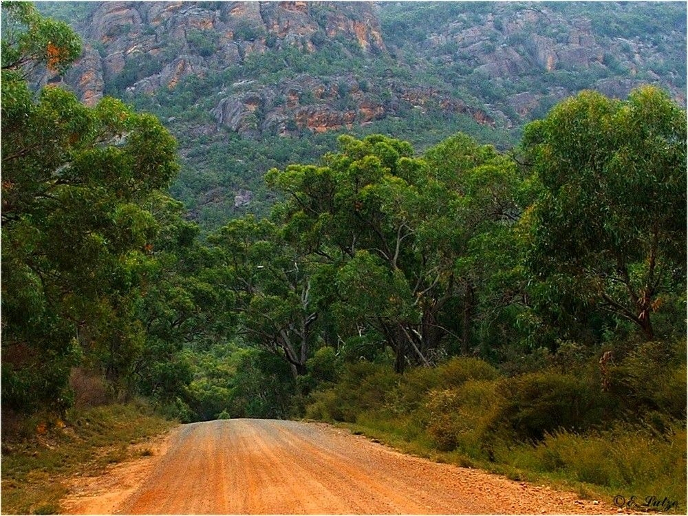 Golton Gorge at Roses Gap Grampians