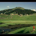 golyani obasi-giresun-turkey