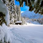 Golzern im Januar