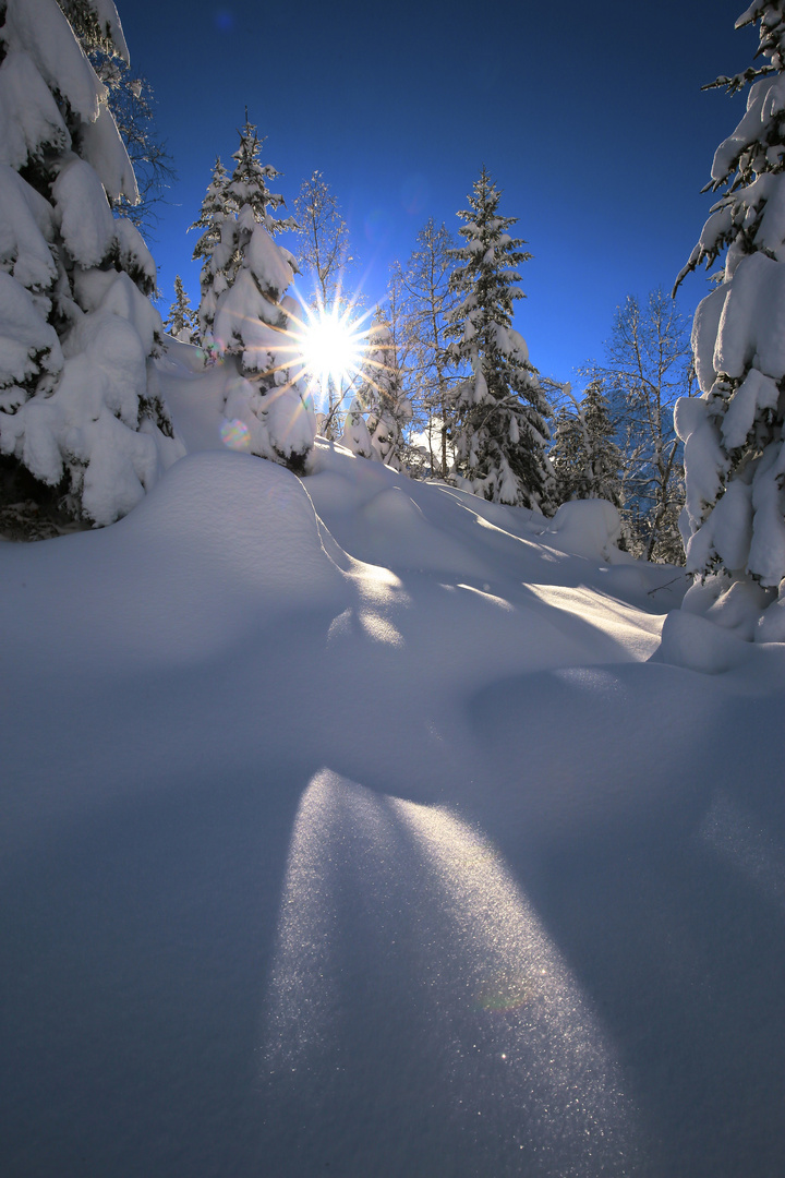 Golzern im Winter