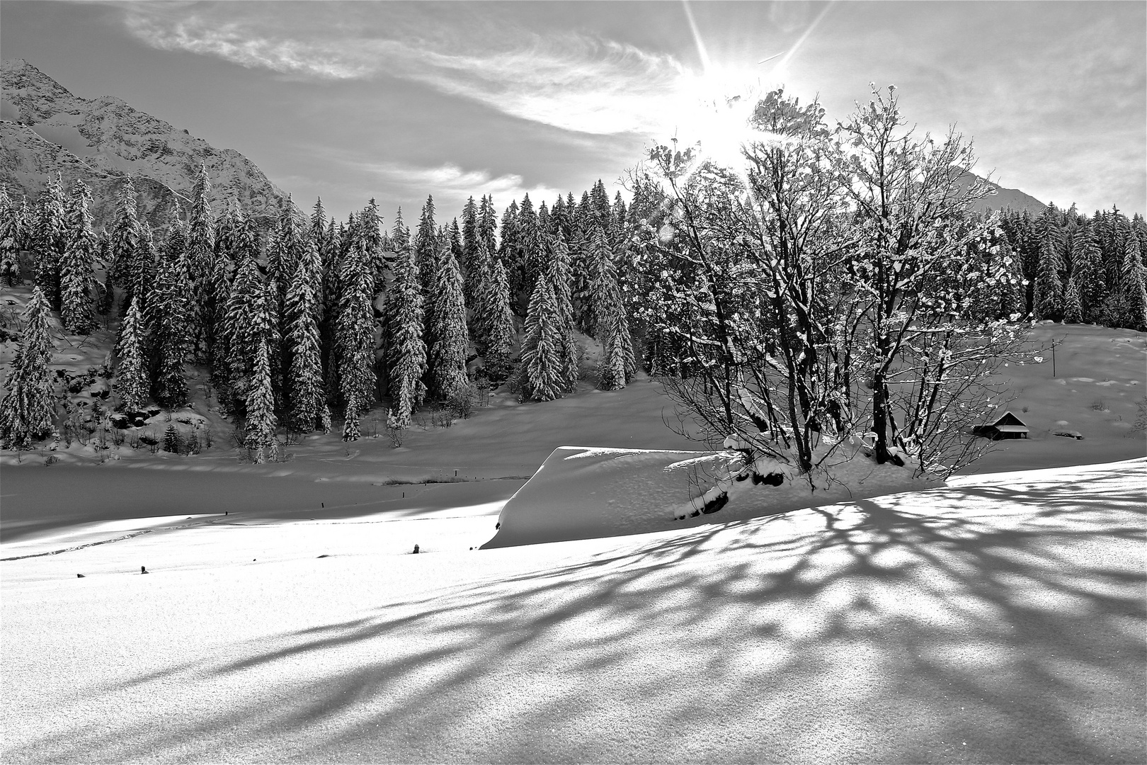 Golzern im Winter