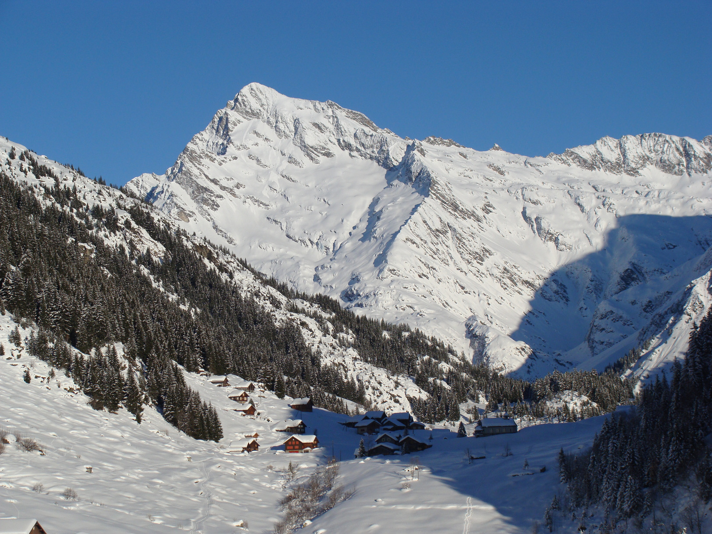 Golzern im Winter