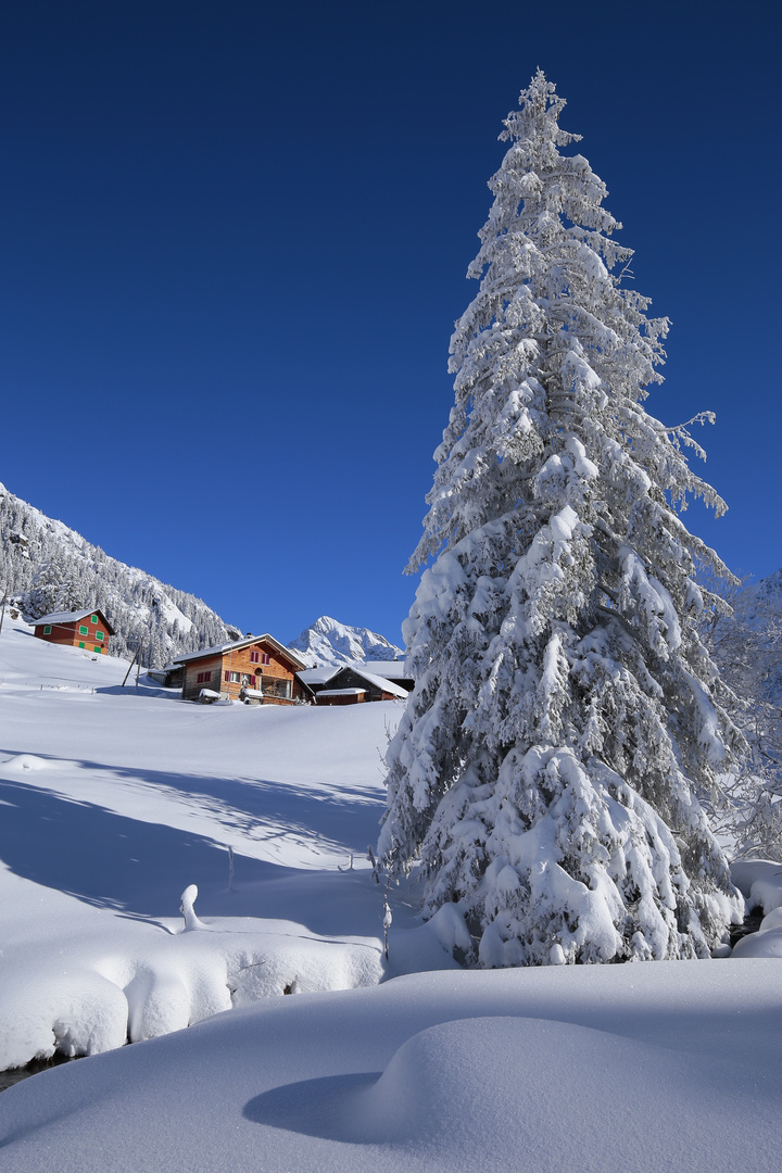 Golzern .im Winter