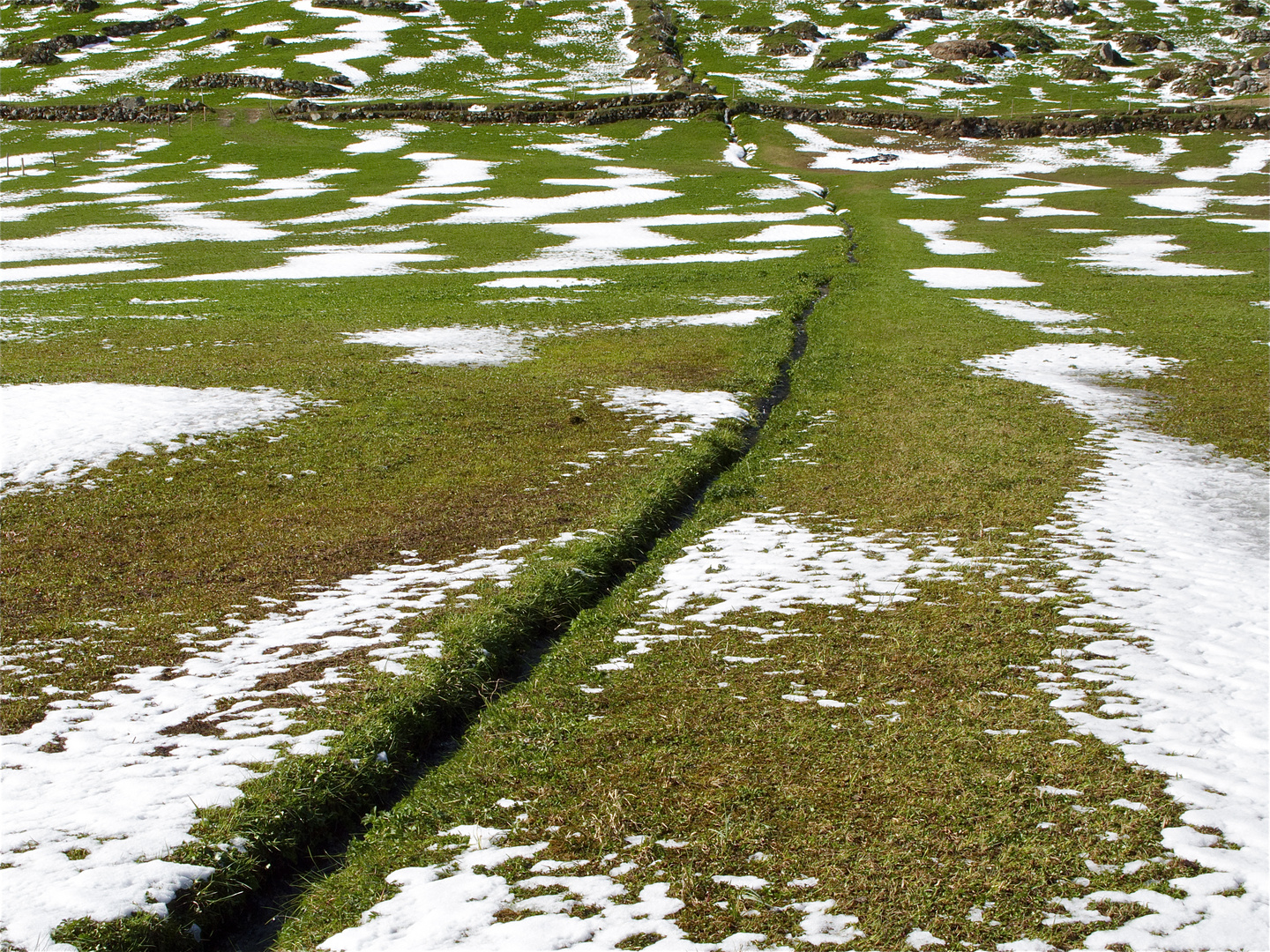 Golzern ,in Weiss und Grün