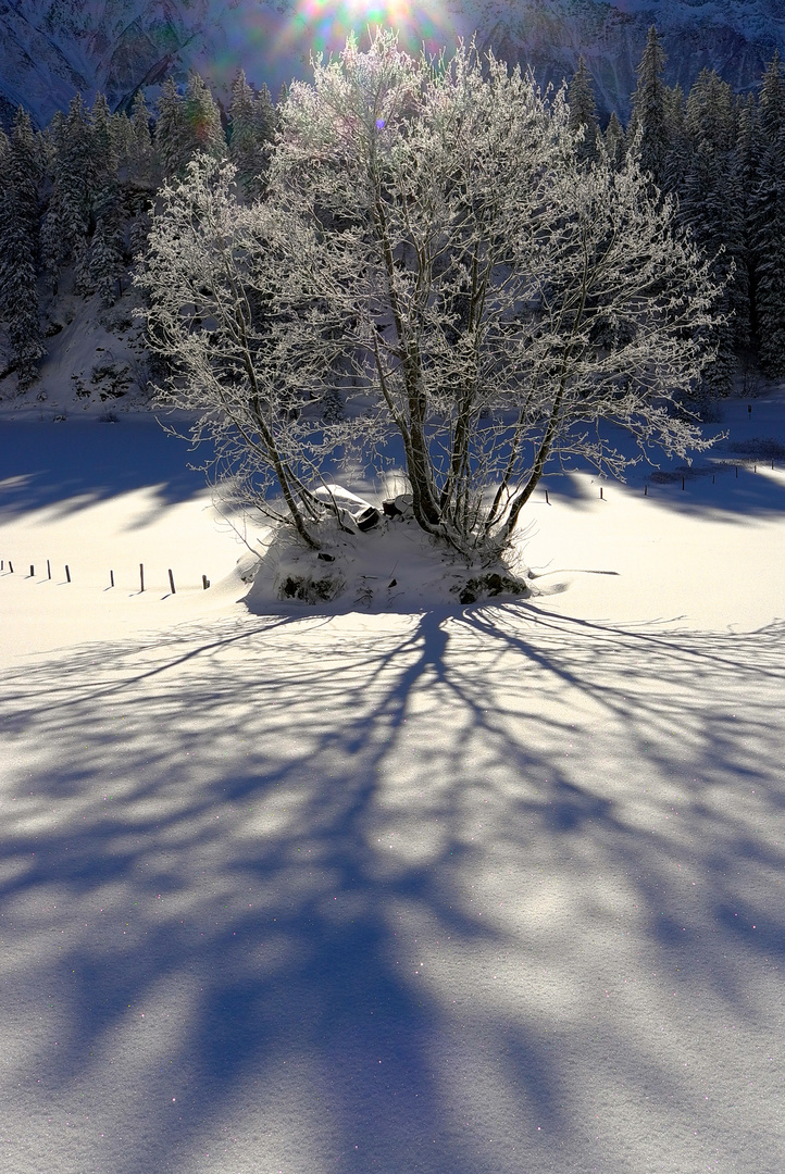 Golzern ,kt . Uri