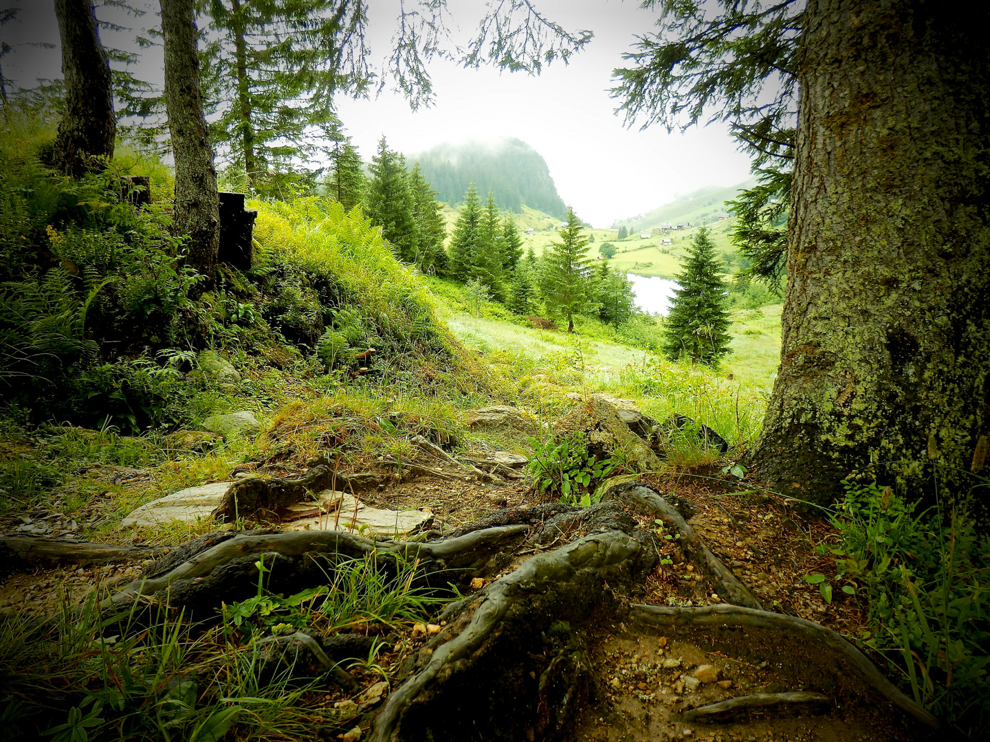 Golzern ,Maderanertal