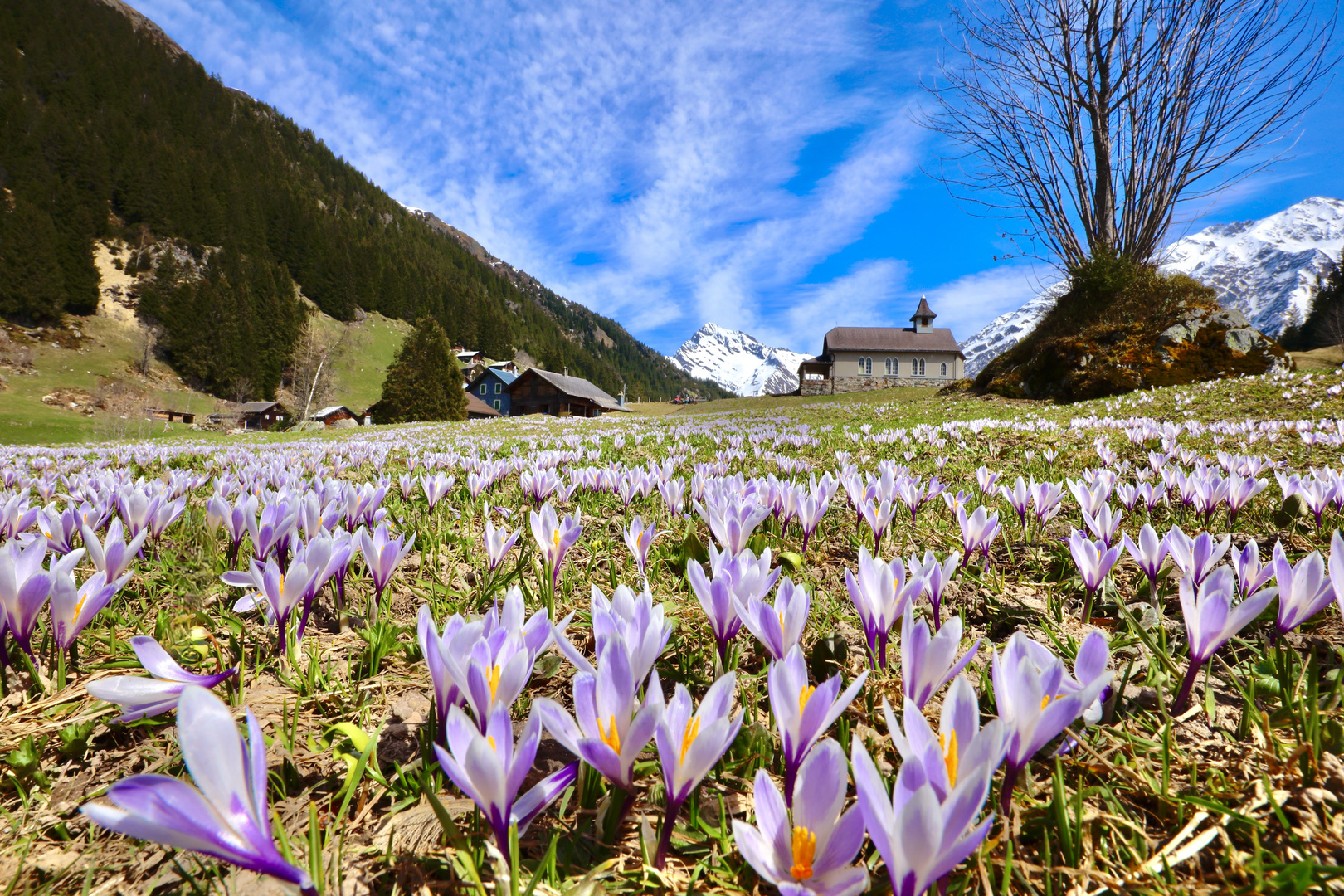 Golzern ,Maderanerthal