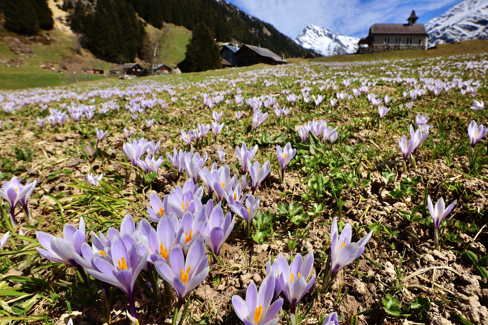 Golzern Maderanerthal