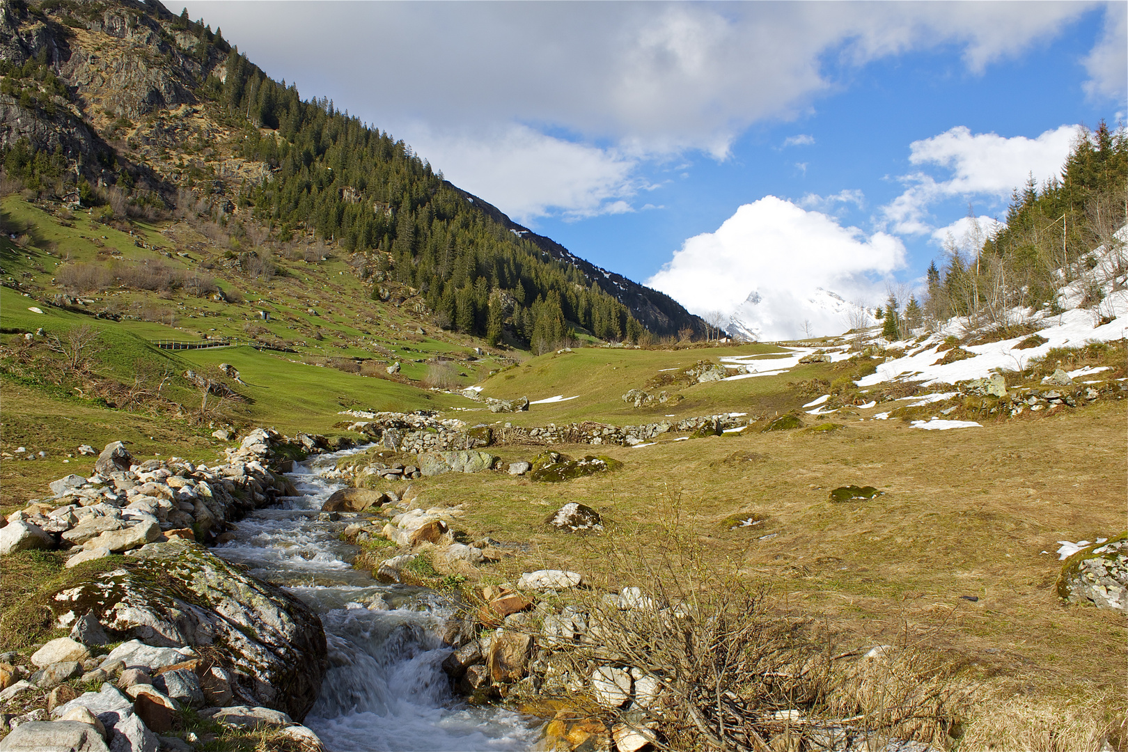 Golzern ,Mezgerberg