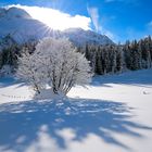 Golzern mit Düssistock im Winter 18 Jan 2015