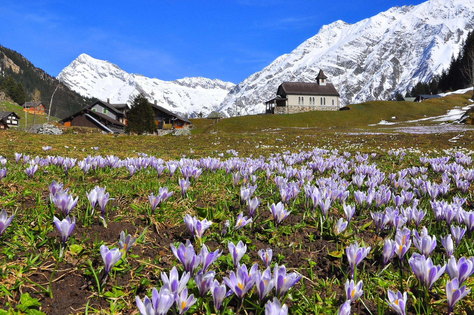 Golzern , Uri