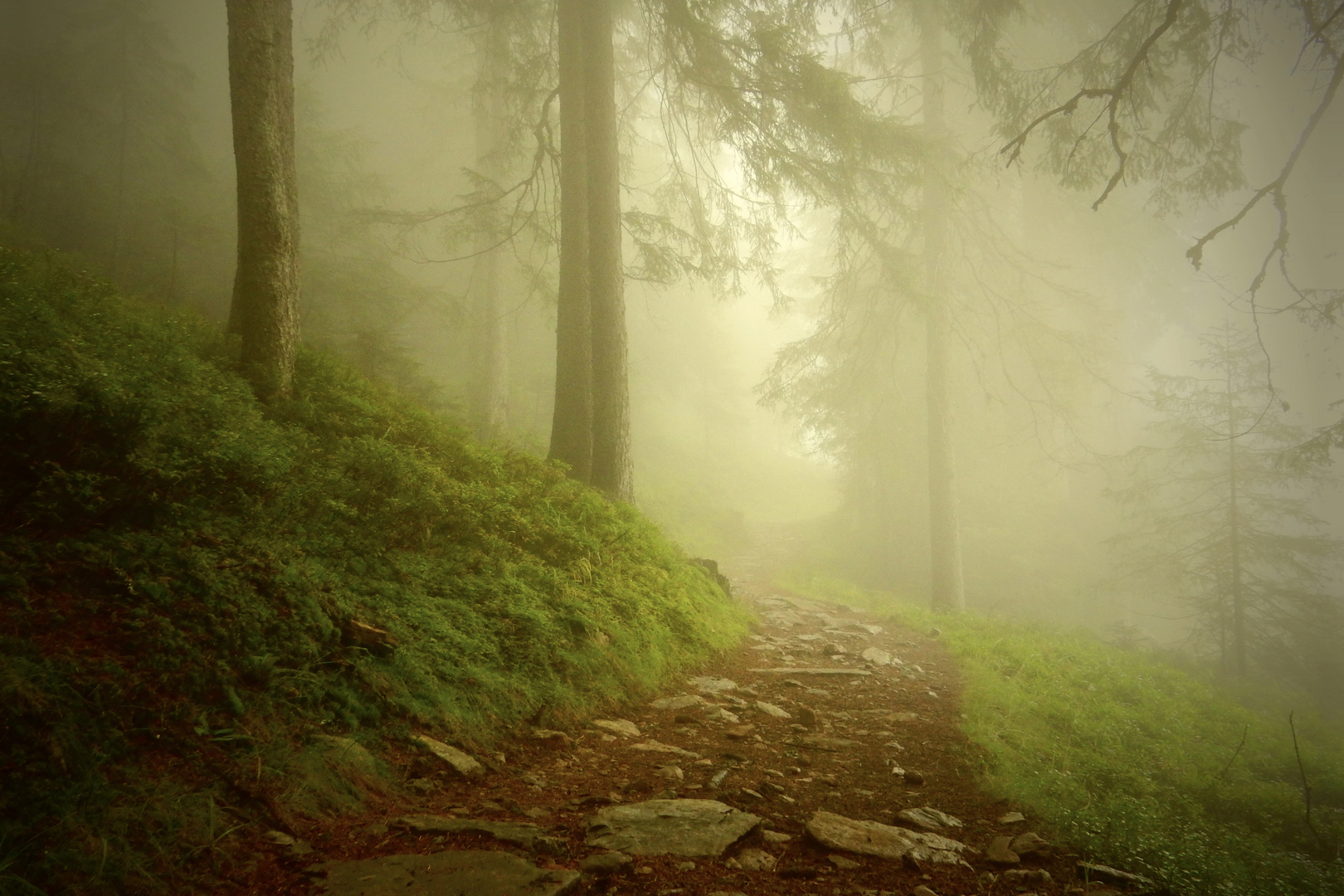 Golzern - Waldiberg Weg