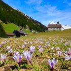 Golzern,Maderanertal