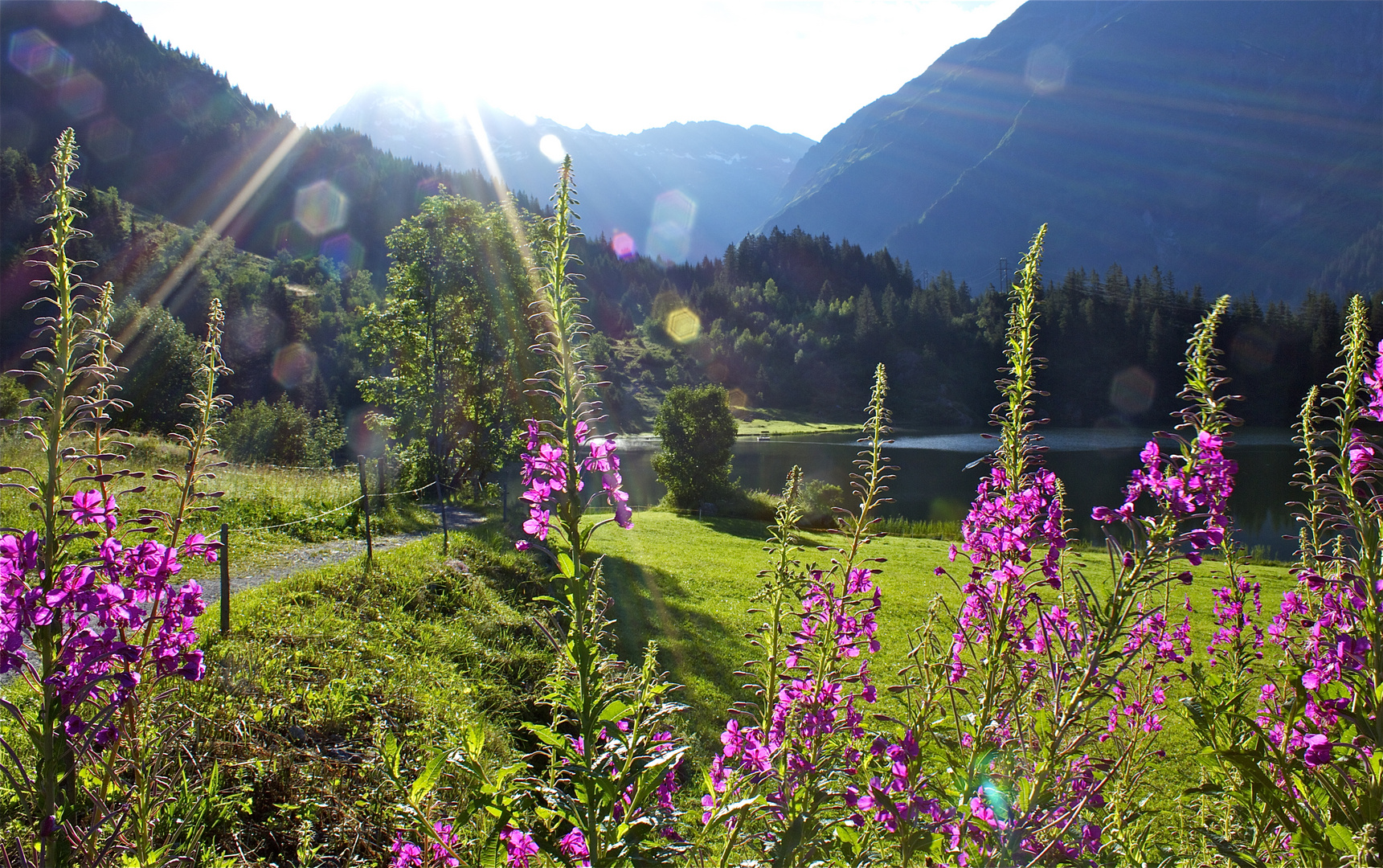 GoLzernsee