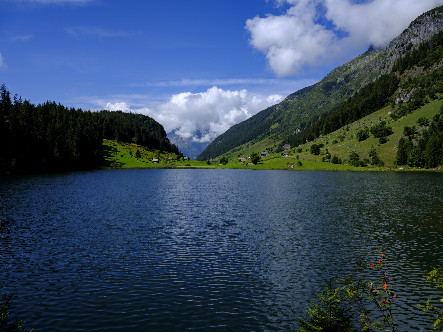 Golzernsee 3