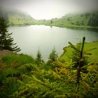 Golzernsee bei Nebel