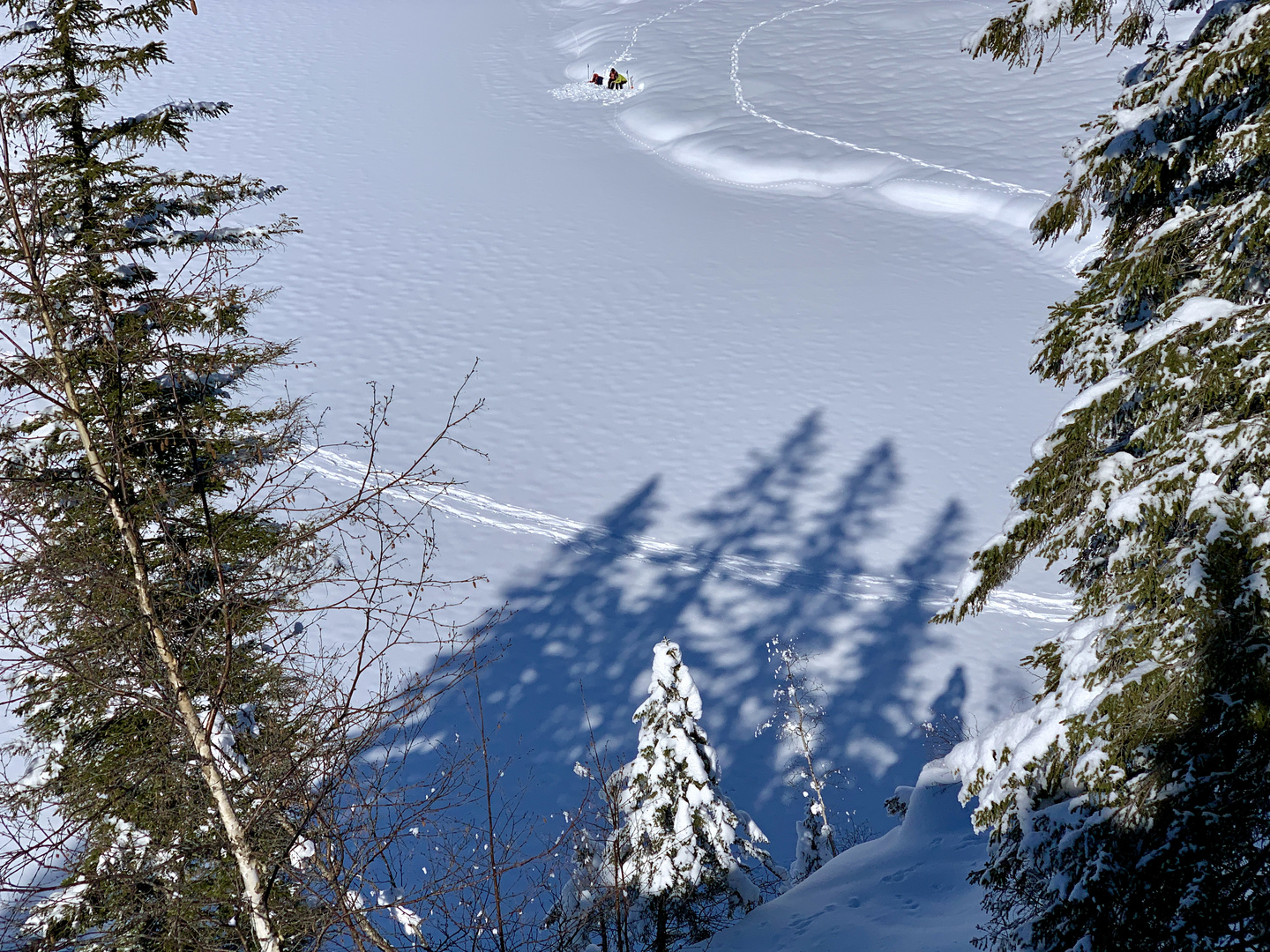 Golzernsee