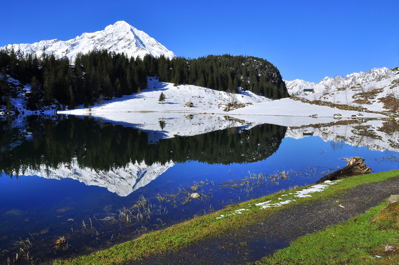 Golzernsee , im  Frühling