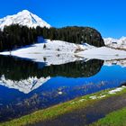 Golzernsee , im  Frühling