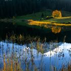 Golzernsee ,im Herbst