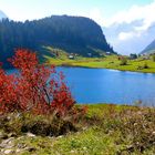 Golzernsee im Herbst