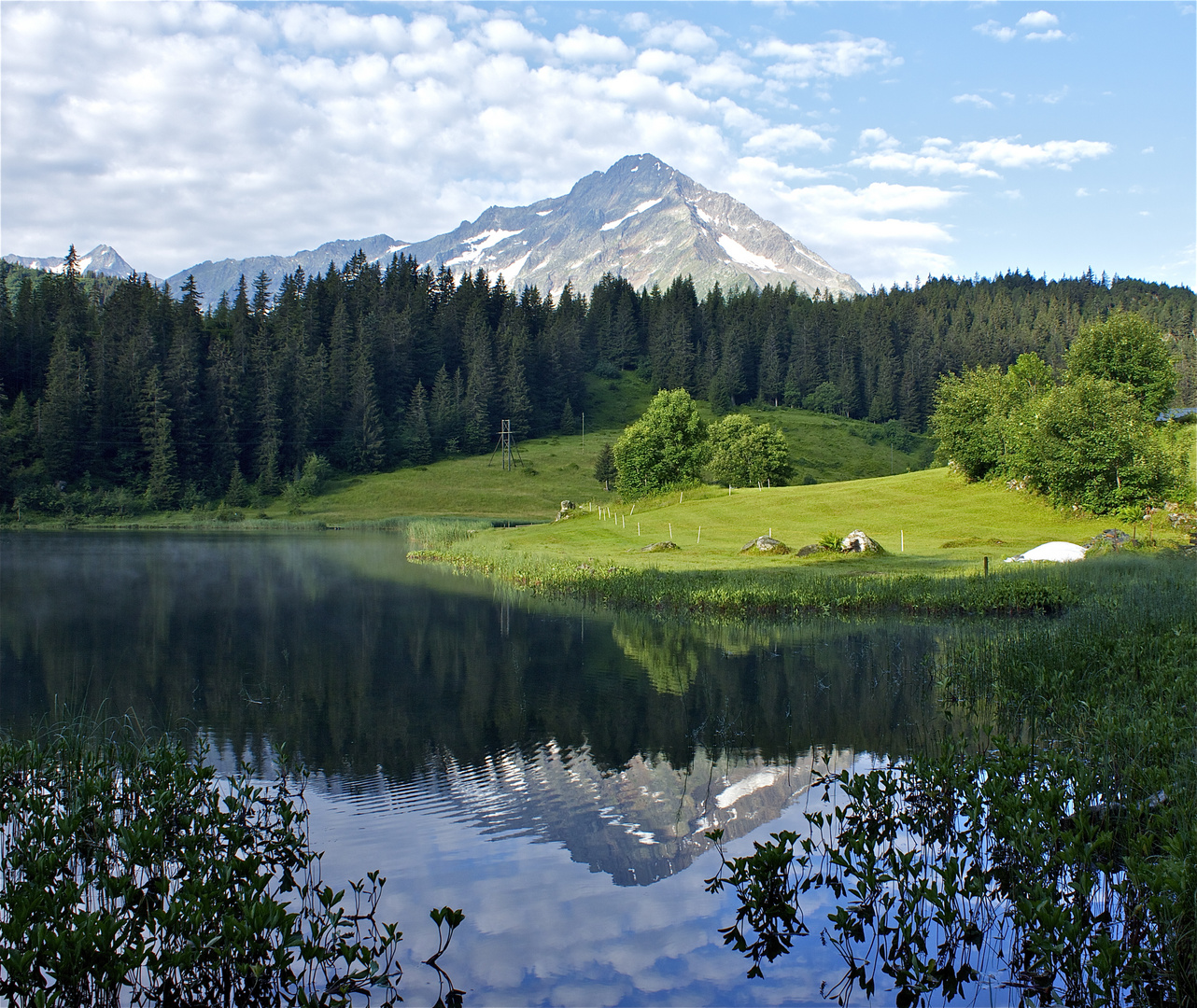 Golzernsee im Sommer , 2