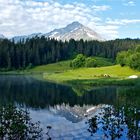 Golzernsee im Sommer , 2